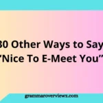 Professional online introduction with alternative ways to say Nice To E-Meet You in emails and virtual meetings.