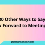 30 Other Ways to Say I Look Forward to Meeting You with professional and friendly examples for emails and conversations