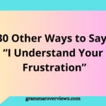 Other Ways to Say I Understand Your Frustration with professional and empathetic alternatives