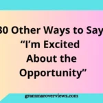 A professional person expressing excitement during a job interview with communication phrases and alternative ways to say “I’m Excited About the Opportunity.”
