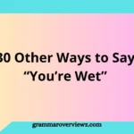 Other Ways to Say “You’re Wet” with funny and creative expressions