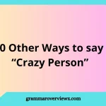 other ways to say crazy person with playful and funny alternatives