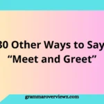 Other Ways to Say Meet and Greet with examples