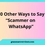 Other Ways to Say “Scammer on WhatsApp” with examples