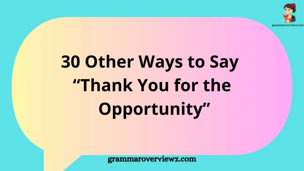 Other Ways to Say Thank You for the Opportunity with professional gratitude phrases