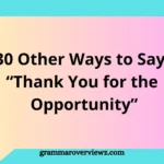 Other Ways to Say Thank You for the Opportunity with professional gratitude phrases