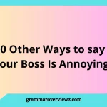 Other Ways to Say Your Boss Is Annoying with funny and professional alternatives