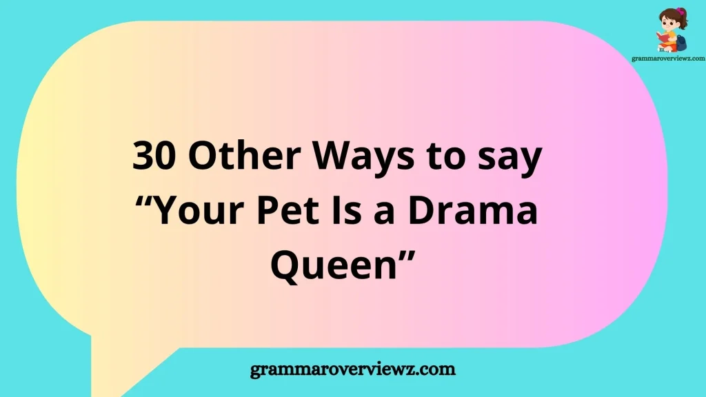 Other Ways to Say Your Pet Is a Drama Queen with funny pet expressions