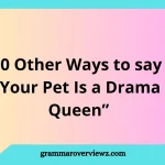 Other Ways to Say Your Pet Is a Drama Queen with funny pet expressions
