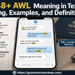 AWL meaning in text shown through a smartphone chat and different language contexts