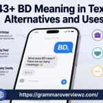 BD meaning in text explained with common texting and professional meanings