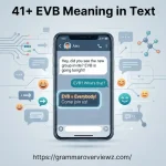 EVB meaning in text explained with EVB meaning everybody and examples