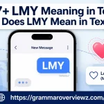 LMY Meaning in Text showing LMY as Love and Miss You in a smartphone message