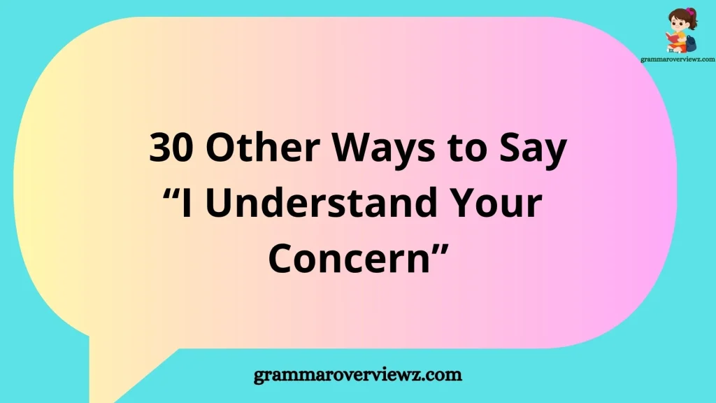 other ways to say I understand your concern with examples