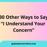 other ways to say I understand your concern with examples