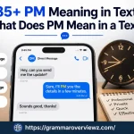 PM Meaning in Text explained with private messaging, time, and professional communication examples