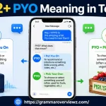 PYO meaning in text explained with Put You On and Pick Your Own examples