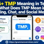 TMP Meaning in Text explained with common meanings including Text Me Please, Text My Phone, Temporary, and Too Much Pressure