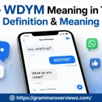Wdym Meaning in Text: What Does WDYM Mean?