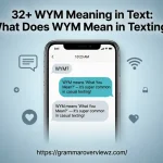 32+ WYM Meaning in Text with Examples