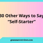 other ways to say self-starter with examples
