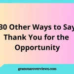 Other Ways to Say Thank You for the Opportunity with Examples