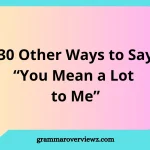 other ways to say You Mean a Lot to Me with examples