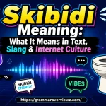 Skibidi meaning explained through internet slang, memes, chat bubbles, and Skibidi Toilet culture.