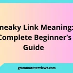 Sneaky link meaning explained with examples of secret dating, private relationships, and modern texting slang.
