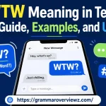 WTW meaning in text with texting examples, common definitions, and social media usage.